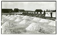 Photographs of the Alameda County salt industry