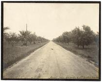 Road from Acampo, California to Olive Grove 