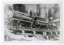Logging train, Marsh Lumber Co. Near Beckwourth, Cal.
