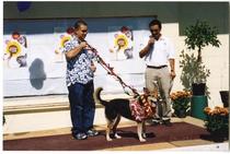 Pooches and Posies parade contestant