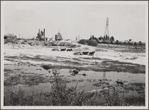 Los Angeles River near central manufacturing district (Vernon), looking east; land wagon, oil tank wagon, power line