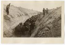 Cattle herded into a ditch, awaiting their deaths, circa 1924  