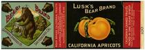 Lusk's Bear Brand California apricots, California Canneries Co., San Francisco
