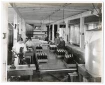 Workers bottling olive oil, California 