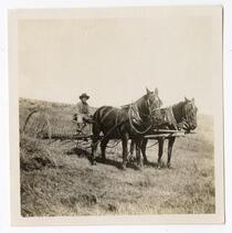 Agricultural worker in a horse-drawn apparatus
