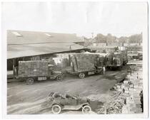 A scene at one of the grape shipping sheds near Lodi, San Joaquin County, circa 1925