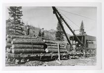 Steam loader at work, Marsh Lumber Co.