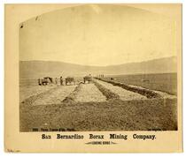 Loading Borax, San Bernardino Borax Mining Company, 1880