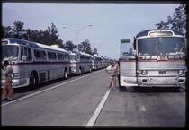 Summer trip: buses