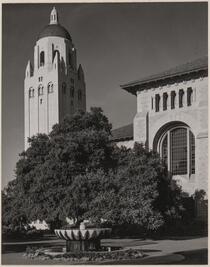 Stanford University Library and Hoover Tower, Santa Clara County, California