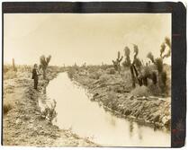Newly opened irrigation ditch, California 
