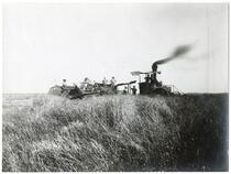 Agricultural workers with steam combine at Miller Brothers Ranch, Colusa County, 1890