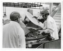 Workers making hamburgers at Lucky Plant