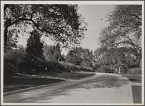 Oak Knoll, private residential ground, 1201 Arden Road, Pasadena