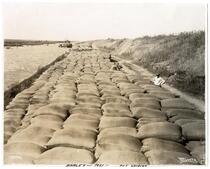 Sacks of barley laid out in Clarksburg, California, circa 1921