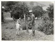Man and child examining an undesirable orange tree 