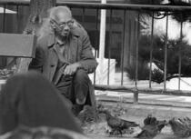 Man feeding pigeons in Portsmouth Square