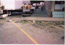 Flower debris in the parking lot