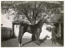 Man and horse in front of a building, circa 1909
