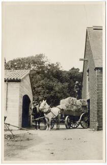 Man standing atop a horse-driven cart of hay 