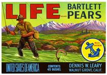 Life Brand Bartlett pears, Dennis W. Leary, Walnut Grove