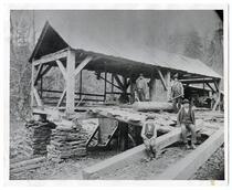 Men and boy at the first sawmill in Oakland