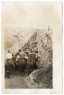 Men destroying diseased cattle, circa 1924  