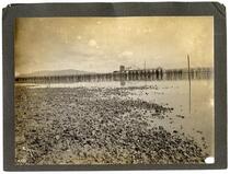 Enclosed oyster beds at low tide, San Francisco Bay, California
