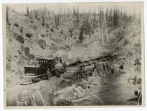 View of the Arcata and Mad River railroad hauling wood near Korbel, Humboldt County, California