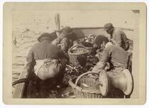 Fishermen processing their catch