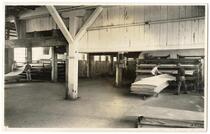 Men drying sheets of veneer at mill, California