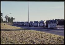 Summer trip: buses