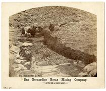 Upper end of lower garden, San Bernardino Borax Mining Company, 1880