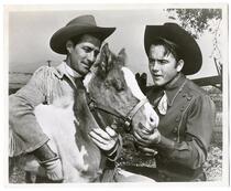 Cowboys  examining a donkey