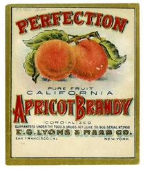 Perfection pure fruit California apricot brandy, E. G. Lyons & Raas Co., San Francisco