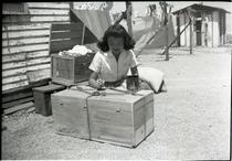 Woman painting label on a crate