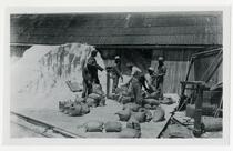 Turk Island Salt Works, Alvarado, Alameda County