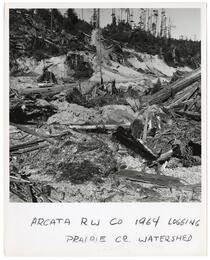 Arcata Railway Company logging in the Praire Creek watershed, Humbolt County