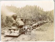 Men standing by a logging train, California
