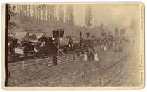 John Vance's Logging Train, Mad River, California