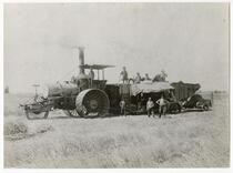 Agricultural workers with steam combine at Miller Brothers Ranch, Colusa County, circa 1890