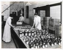 Women labeling glass jars of olives, California 