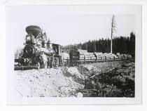 A logging train on the Boca & Loyalton R.R.