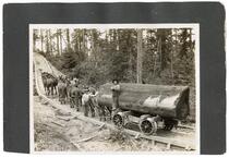 Loggers and horse team hauling a log