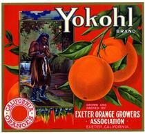 Yokohl Brand California oranges, Exeter Orange Growers Association