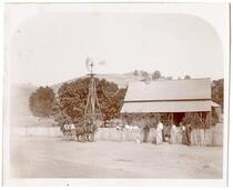 Farm scene with men, women, and children in front of a house and open-geared Aermotor windmill, San Joaquin County