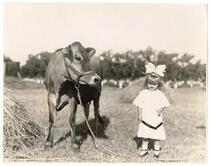 Young female child and cow
