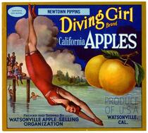 Diving Girl Brand California apples, Watsonville Apple Selling Organization