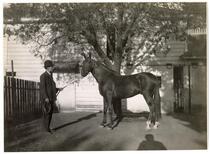 Man and horse in front of a building 