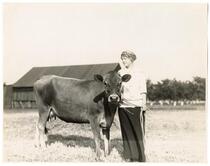 Woman and cow 